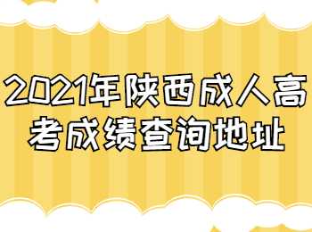 陕西成人高考成绩查询