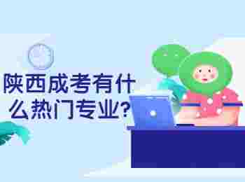 陕西成考有什么热门专业