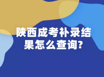 陕西成考补录结果怎么查询?