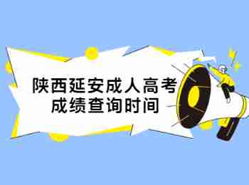 陕西延安成人高考成绩查询时间