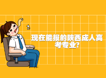 现在能报的陕西成人高考专业?