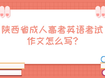 陕西省成人高考英语考试作文怎么写