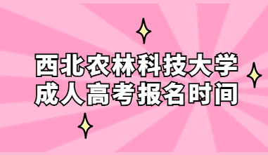 西北农林科技大学成人高考