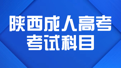 2024年陕西成人高考考试科目考什么内容？