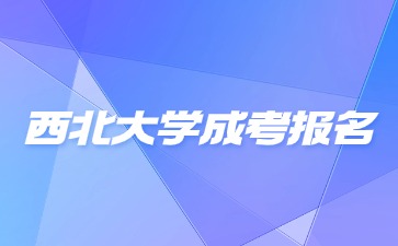 2024年西北大学成考报名时间是什么时候？