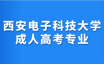 2024年西安电子科技大学成人高考专业