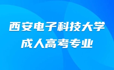 2024年西安电子科技大学成人高考艺术专业需要加试吗？