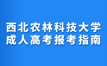 2024年西北农林科技大学成人高考报考指南