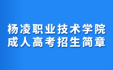 2024年杨凌职业技术学院成人高考招生简章