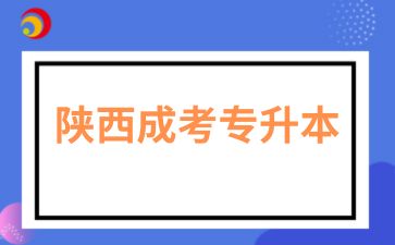 陕西成考专升本需要准备多久